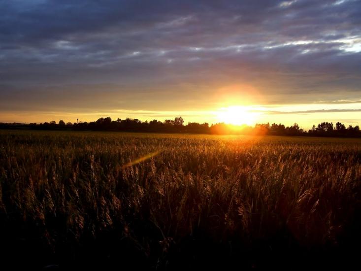 Палло з panoramio.com - Pallo