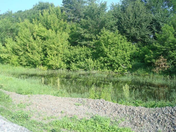 Чотирбоки з panoramio.com - Чотирбоки