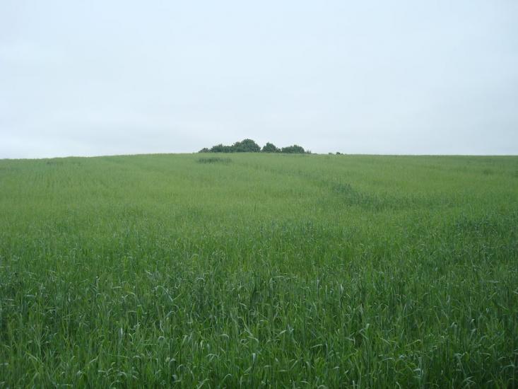 Мацьківці з panoramio.com - Мацьковцы