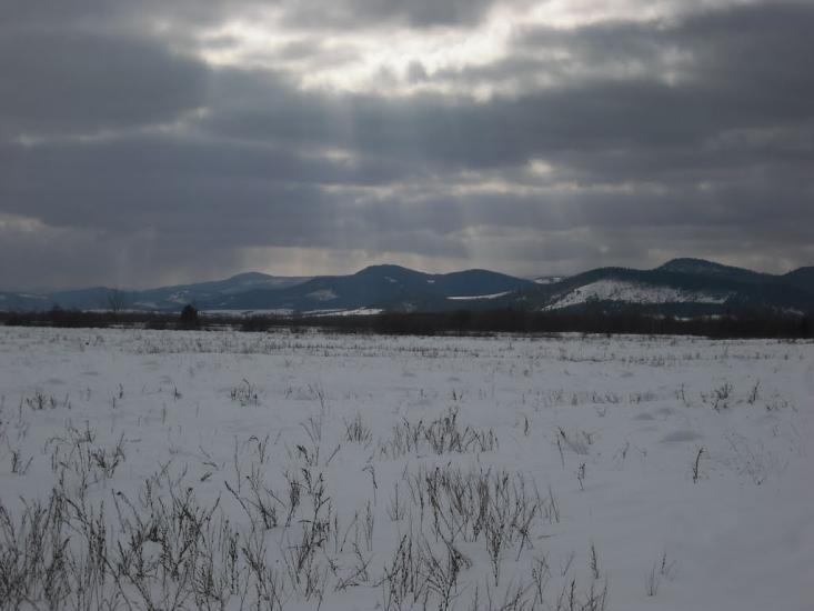 Ценява з panoramio.com - Ценява