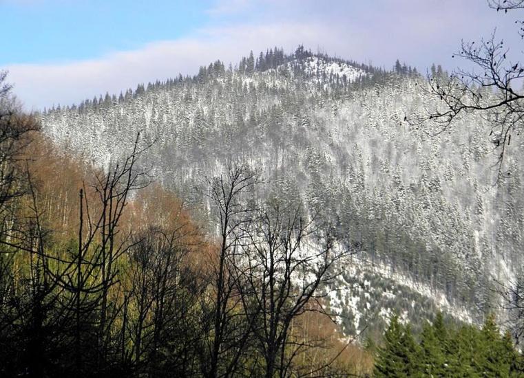 Вільшани з panoramio.com - Ольшаны