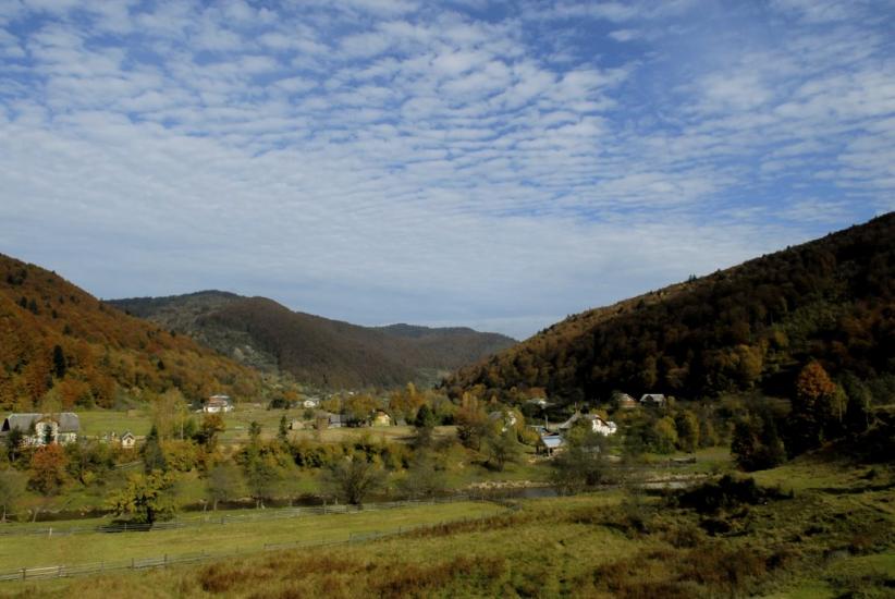 Рибник з panoramio.com - Rybnyk