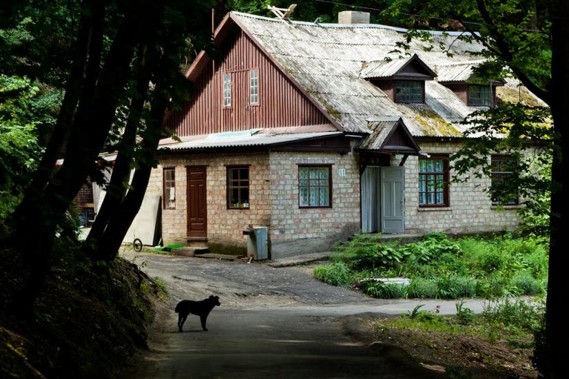 Пекарі з panoramio.com - Пекарі