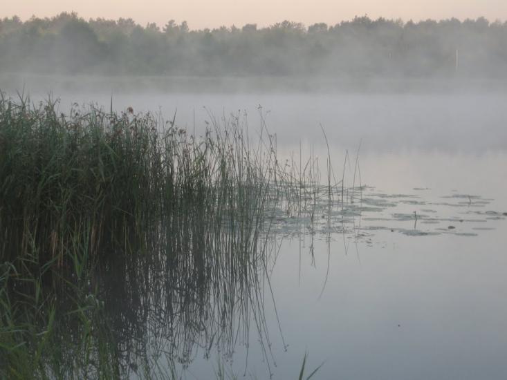 Любохини з panoramio.com - Любохини