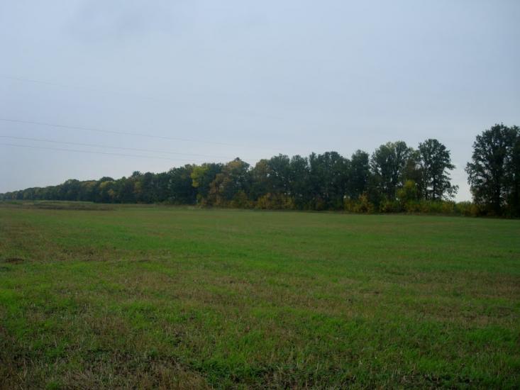 Григорівка з panoramio.com - Григоровка