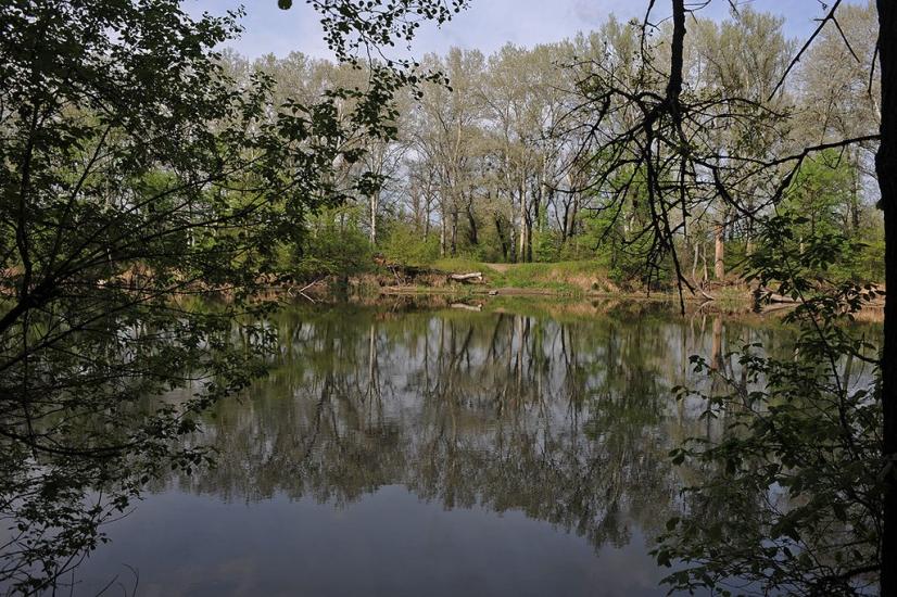 Богородичне з panoramio.com - Богородичное