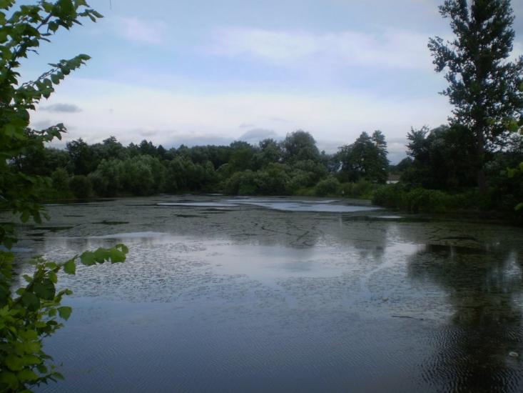 Селище з panoramio.com - Селище