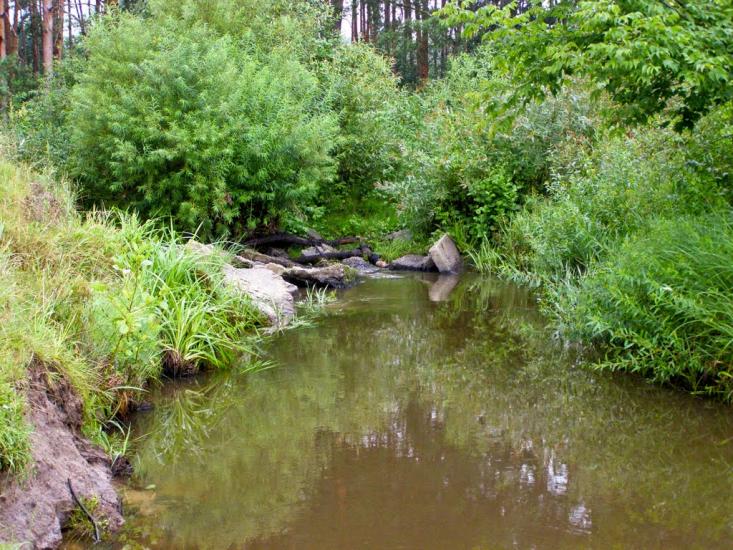 Барашівка з panoramio.com - Барашівка