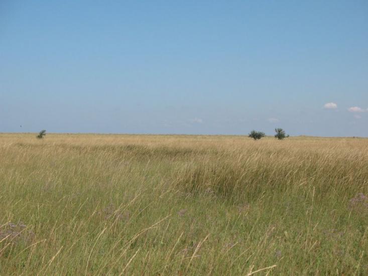 Соляне з panoramio.com - Соляное