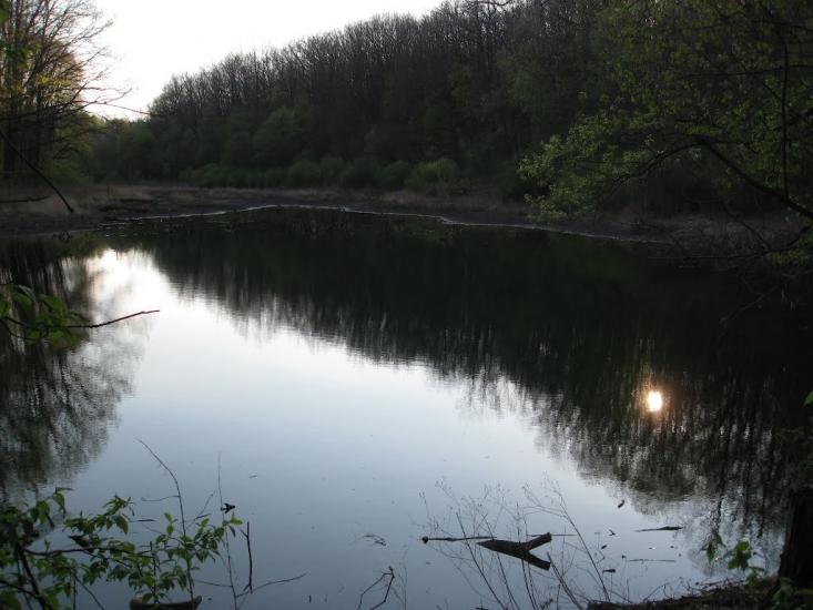 Зайченки з panoramio.com - Зайченки