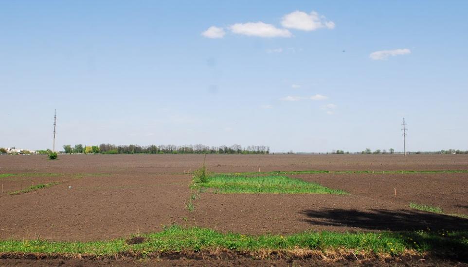 Узин з panoramio.com - Узин