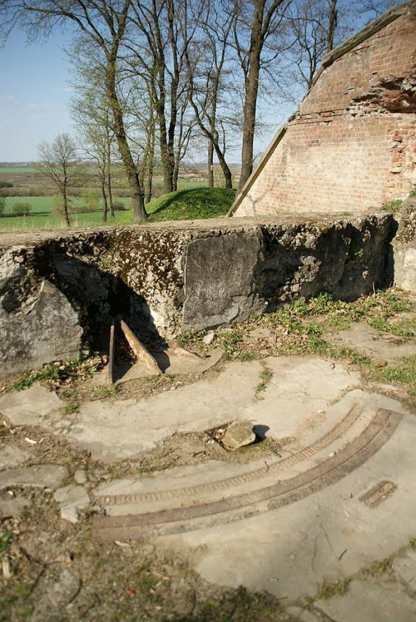 Биків з panoramio.com - Быков