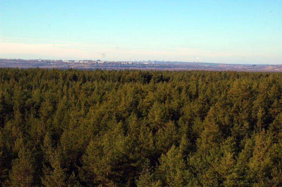 Воронове з panoramio.com - Воронове