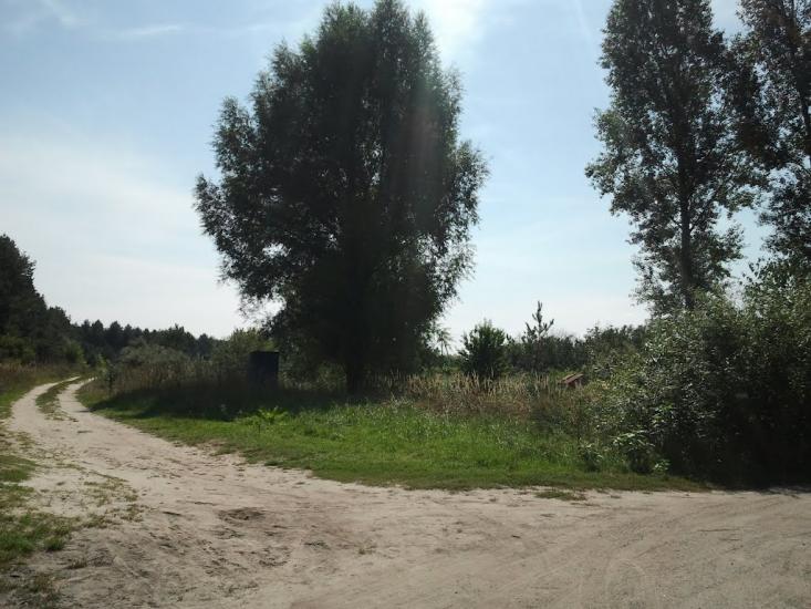 Торф'яне з panoramio.com - Торфяное