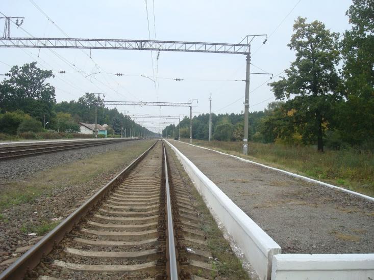 Цвітоха з panoramio.com - Цветоха