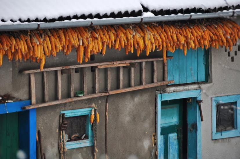 Глухівець з panoramio.com - Глухівець