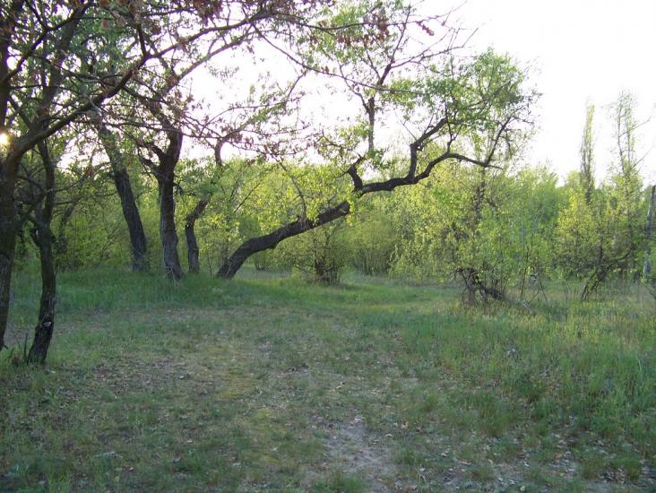 Самусіївка з panoramio.com - Самусіївка