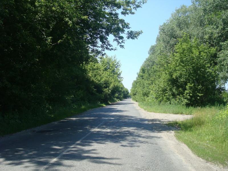 Копистин з panoramio.com - Kopystyn