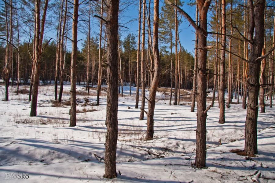 Горянівське з panoramio.com - Горяновское