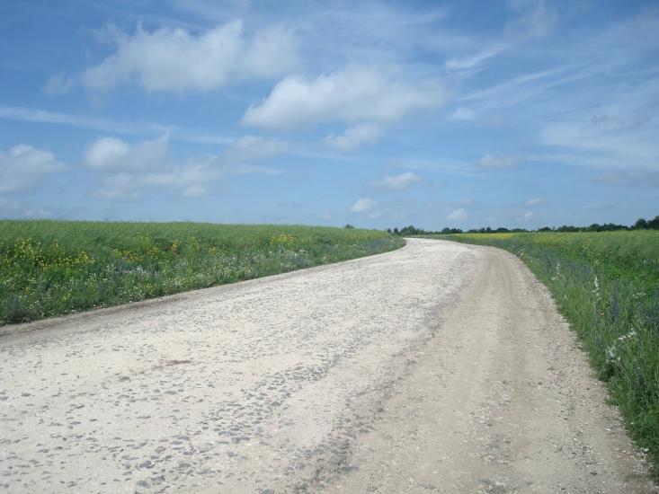 Черепова з panoramio.com - Черепова