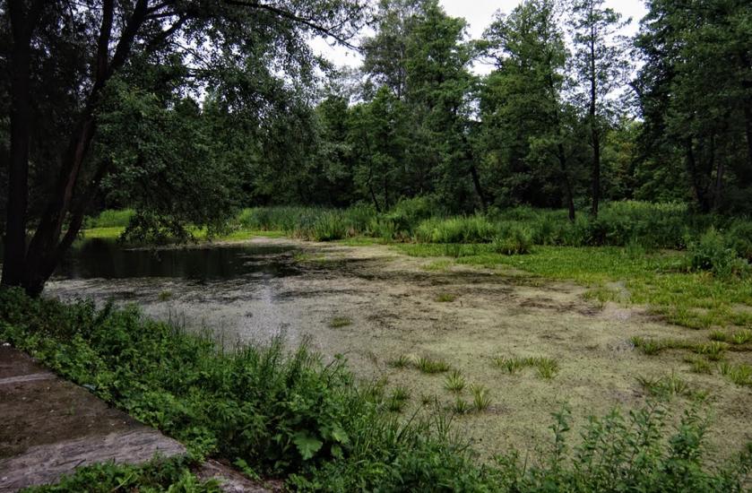 Богородичне з panoramio.com - Богородичное
