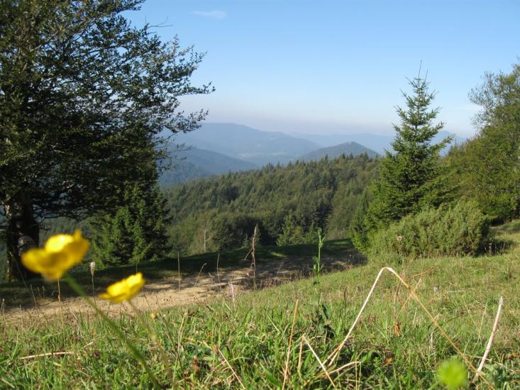 Баня-Березів з panoramio.com - Баня-Березов