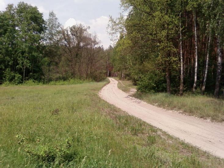 Бистрик з panoramio.com - Быстрик