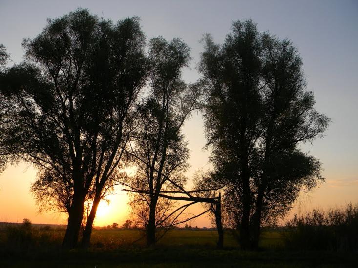 Білозір'я з panoramio.com - Белозерье