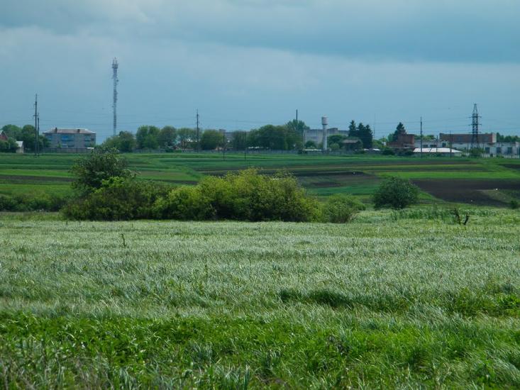 Горохів з panoramio.com - Горохов