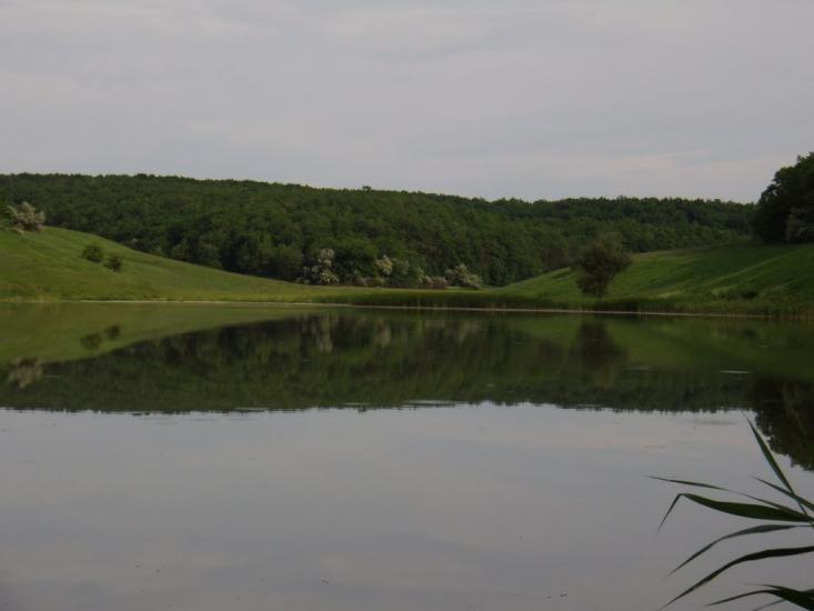 Питомник з panoramio.com - Питомник