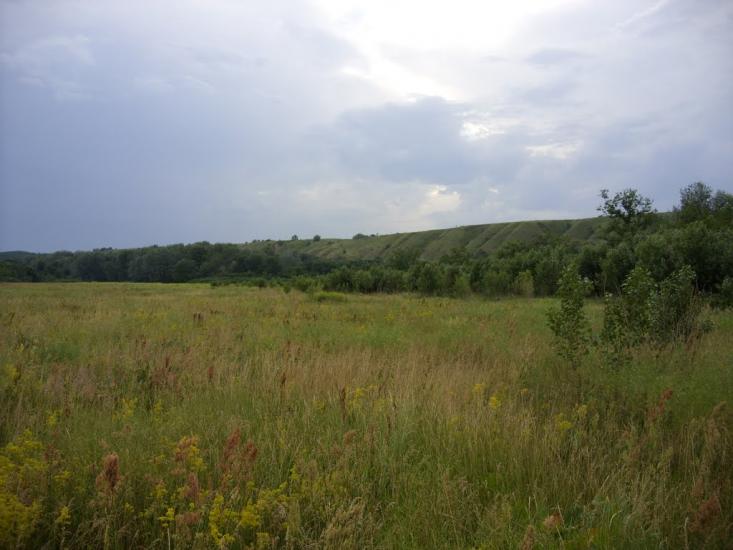 Заможнє з panoramio.com - Заможнє