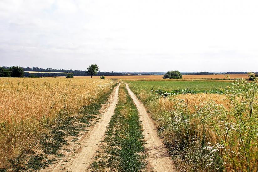 Дзензелівка з panoramio.com - Дзензелівка