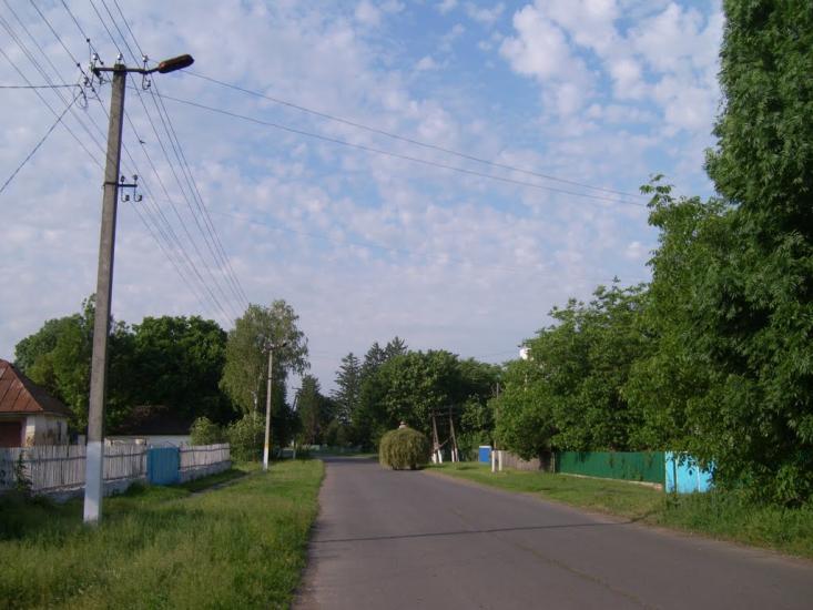 Веселий Кут з panoramio.com - Веселий Кут