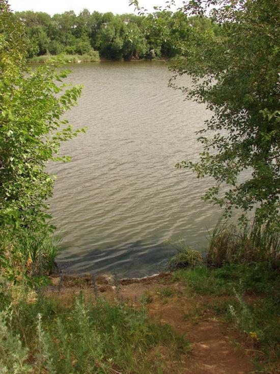 Новий Донбас з panoramio.com - Novyy Donbas