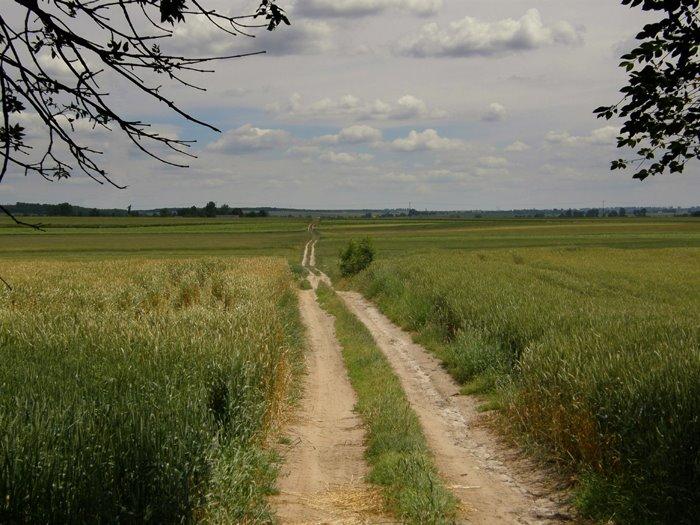 Корчів з panoramio.com - Корчів