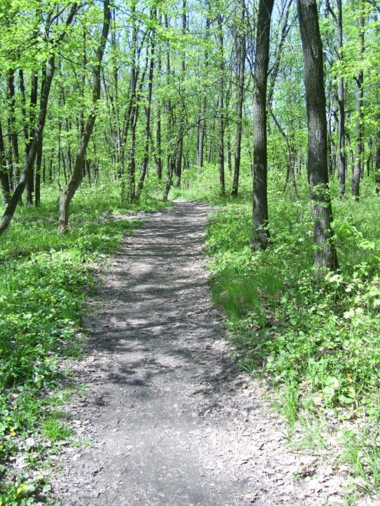 Сіряки з panoramio.com - Серяки
