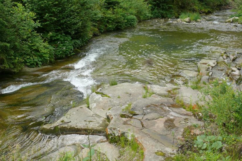 Кам'янка з panoramio.com - Каменка