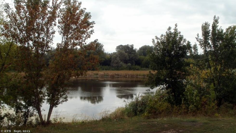 Крива Лука з panoramio.com - Крива Лука