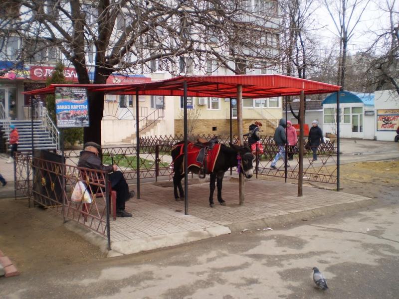 Мізікевича з panoramio.com - Мизикевича
