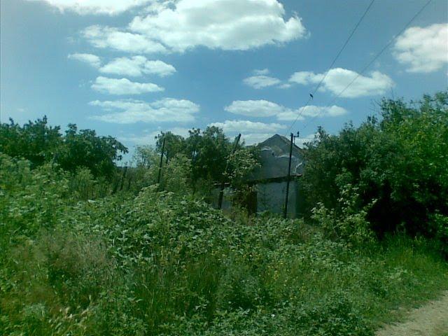 Любопіль з panoramio.com - Любопіль