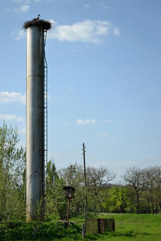 Старі Санжари з panoramio.com - Старые Санжары