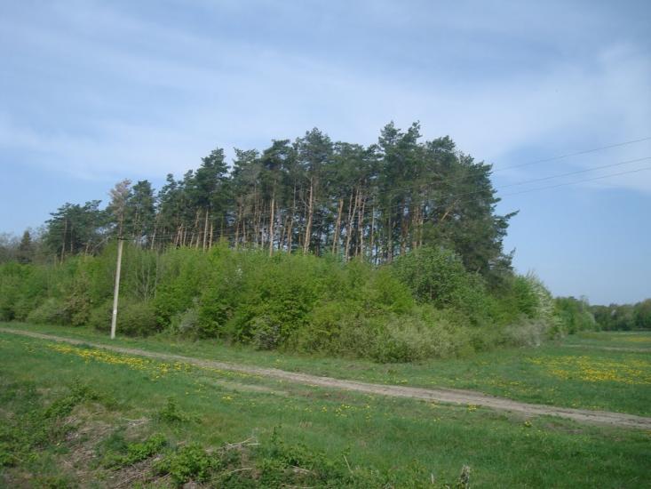 Вербівці з panoramio.com - Вербовцы
