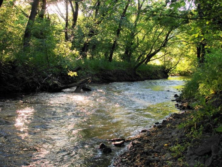 Кам'янка з panoramio.com - Кам'янка