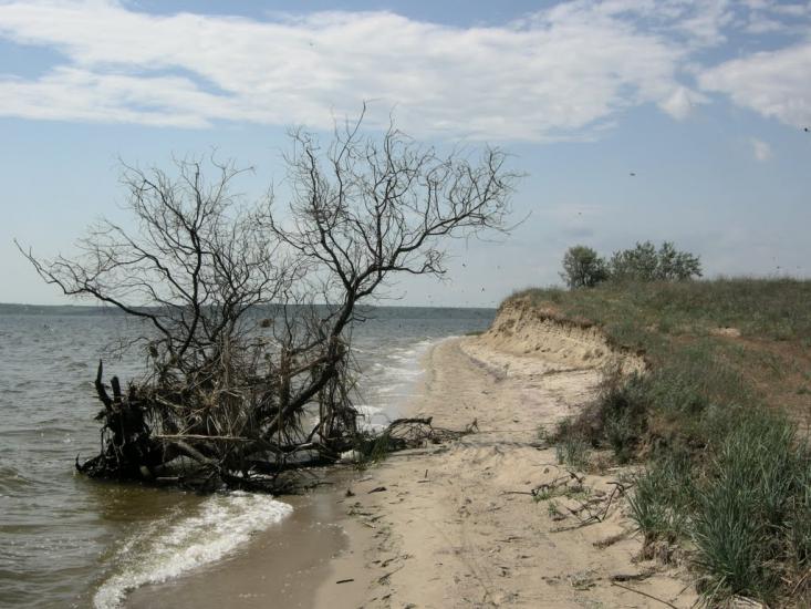 Галицинове з panoramio.com - Галициново