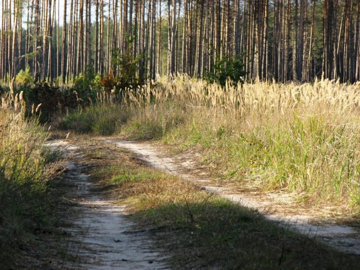 Славутич з panoramio.com - Славутич