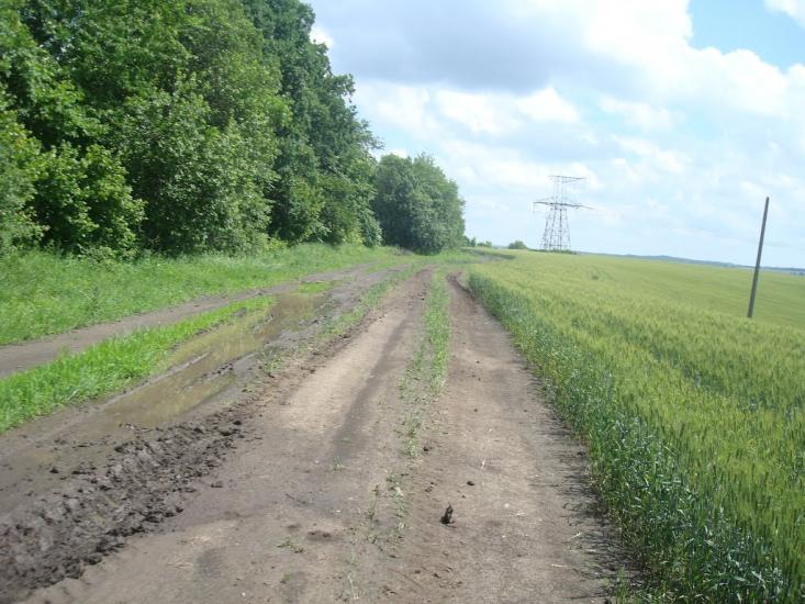 Грузевиця з panoramio.com - Грузевиця