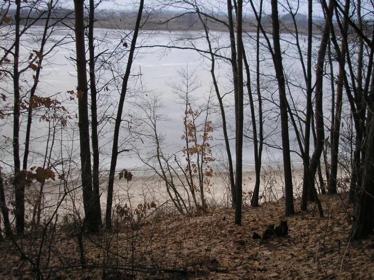 Забір'я з panoramio.com - Zabirya