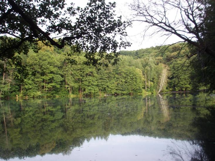 Межиріч з panoramio.com - Межирич