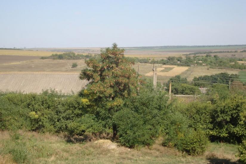 Сугокліївка з panoramio.com - Сугоклиевка
