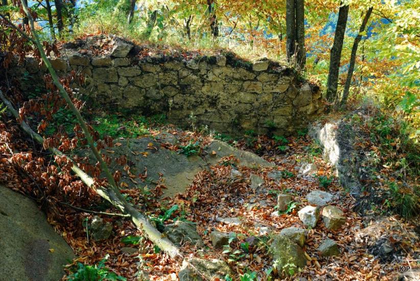 Бронька з panoramio.com - Бронька